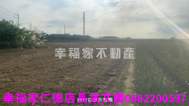新市農地-8