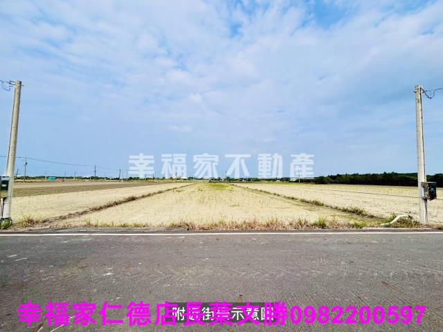 麻豆農地-11