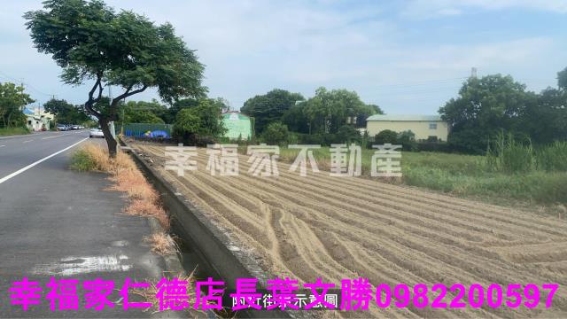 新市農地-11
