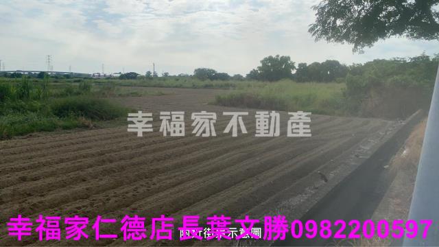 新市農地-12