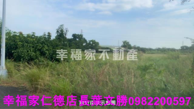 新市農地-0