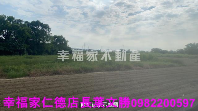 新市農地-3