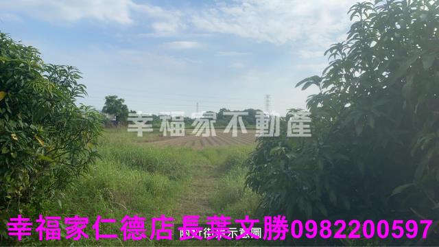 新市農地-6
