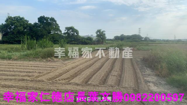 新市農地-8