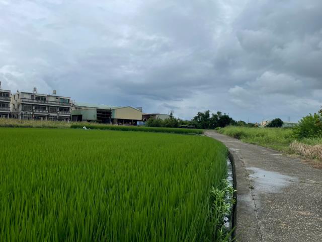 清水農地-12