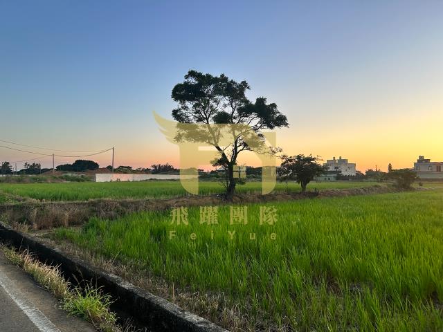 大園農地-3