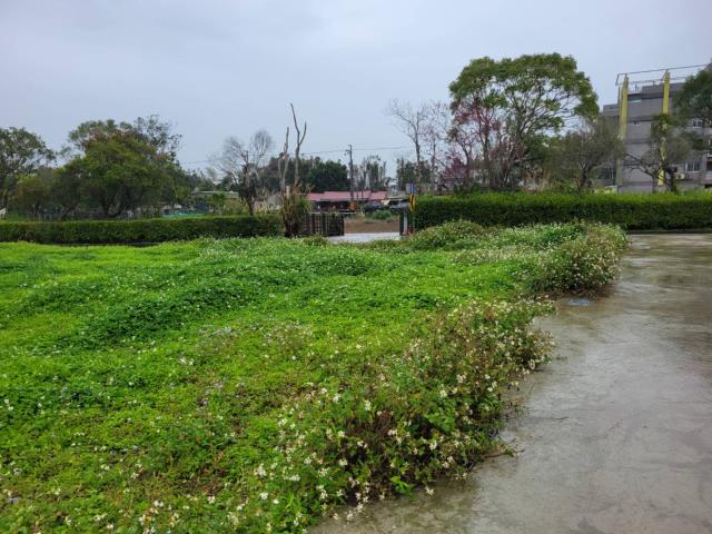 龍潭農地-6