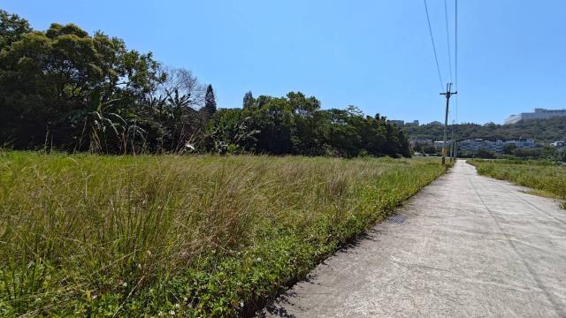 龍潭農地-8