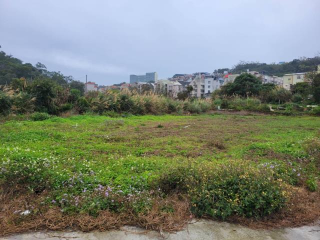 龍潭農地-6
