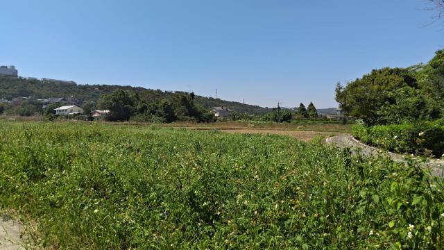 龍潭農地-9