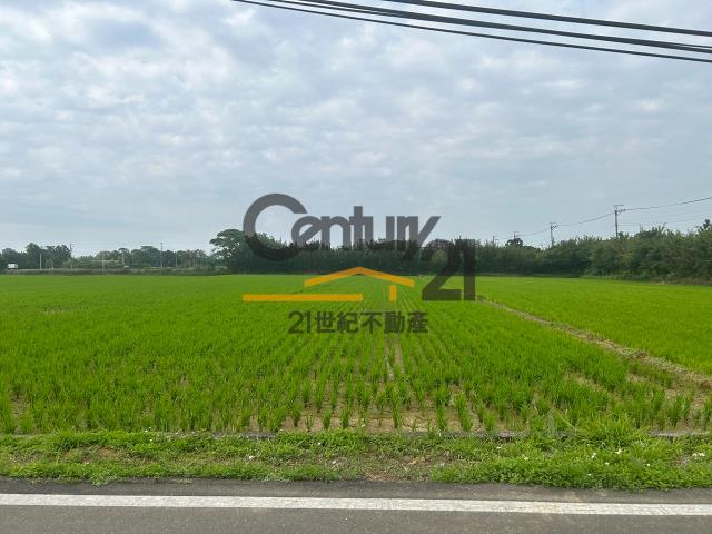 楊梅農地-2