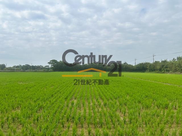 楊梅農地-3