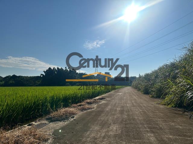 楊梅農地-1