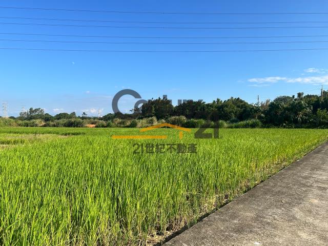 桃園農地-1