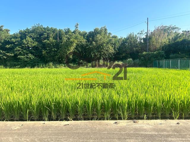 桃園農地-2