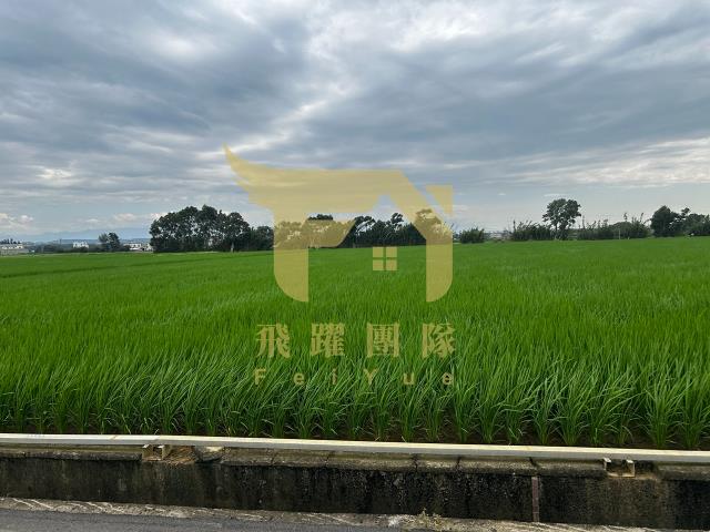 桃園農地-2