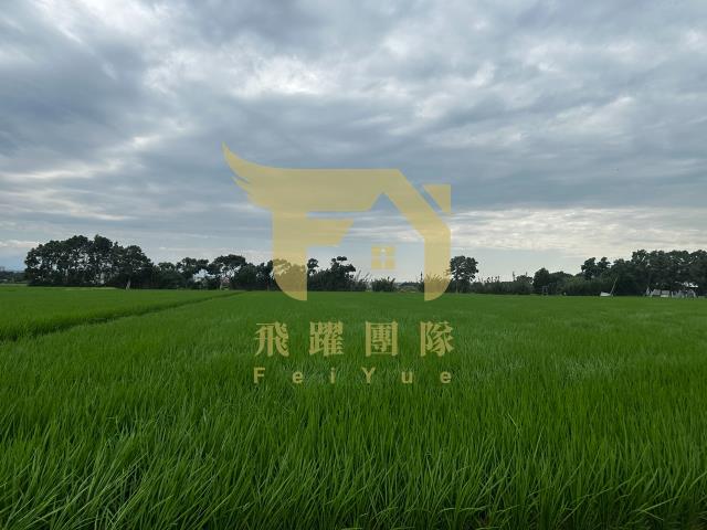 桃園農地-4