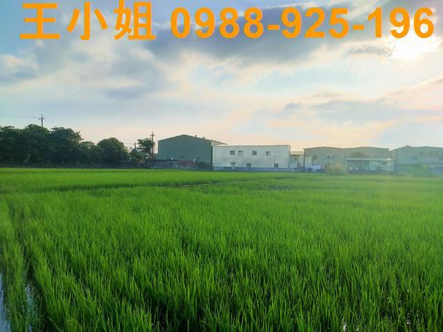 桃園農地-2