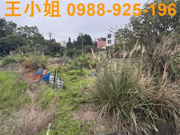 桃園農地-4