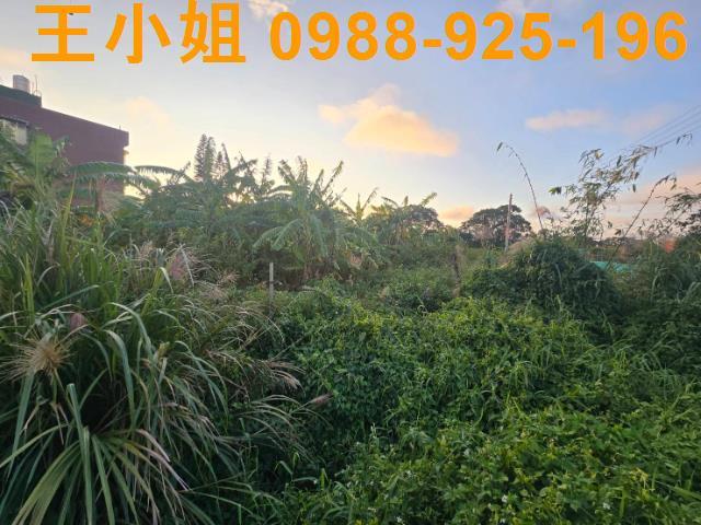 桃園農地-10