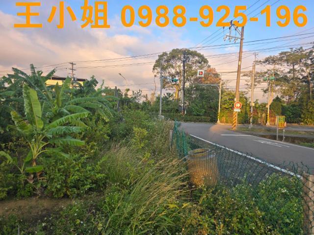 桃園農地-3