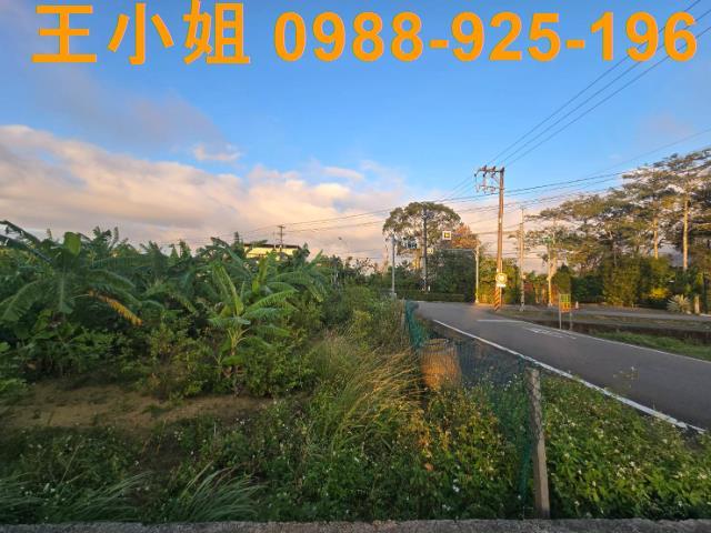 桃園農地-4