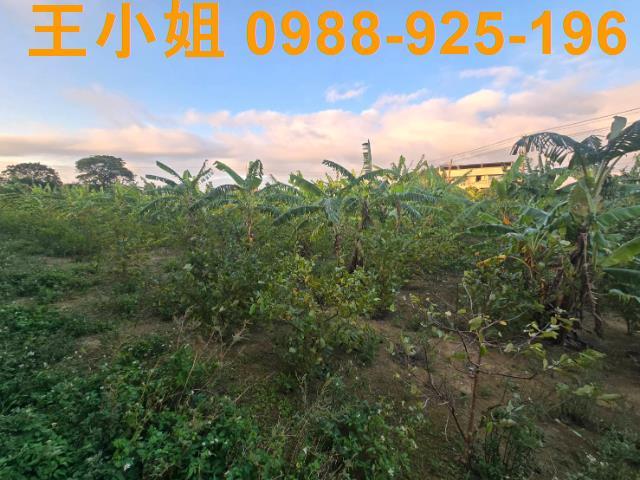 桃園農地-9
