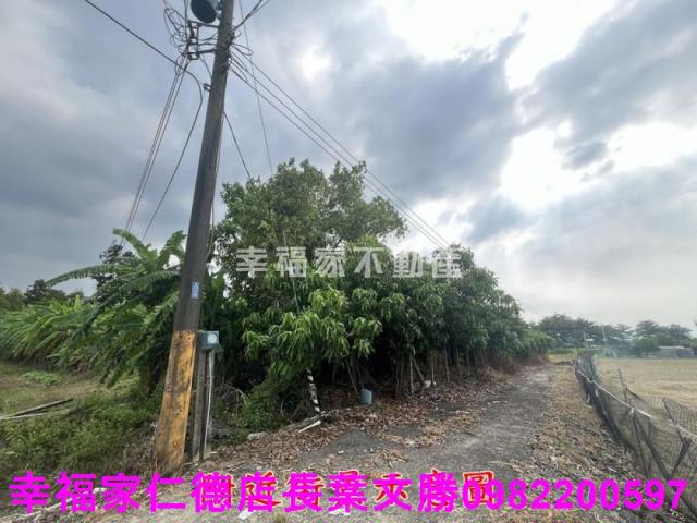 台南新化農地-12