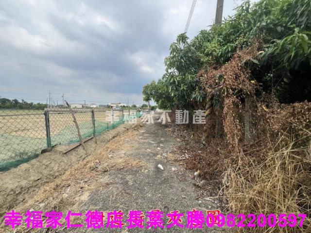 台南新化農地-13