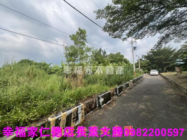 台南新化農地-15