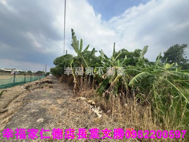 台南新化農地-3