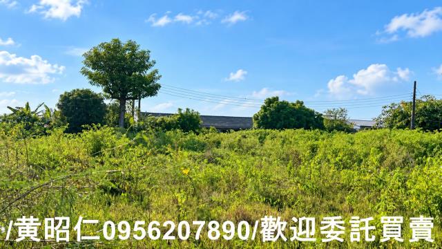 台南七股農地-3