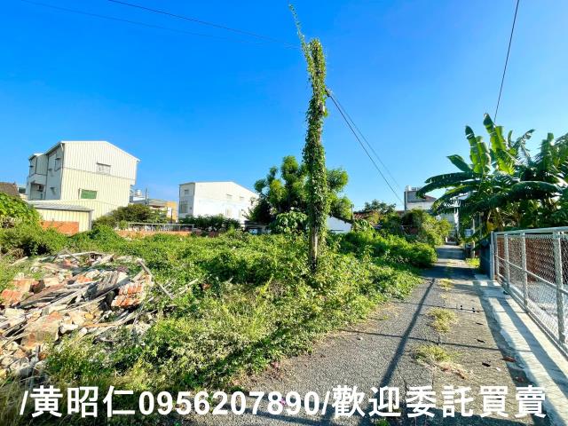 台南善化建地-2