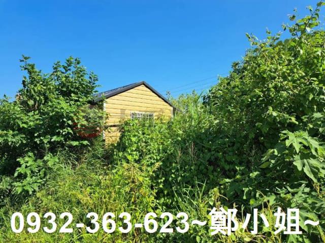 桃園蘆竹農地-6