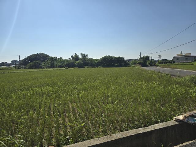 桃園中壢農地-3