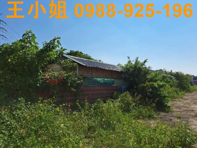 桃園蘆竹農地-8