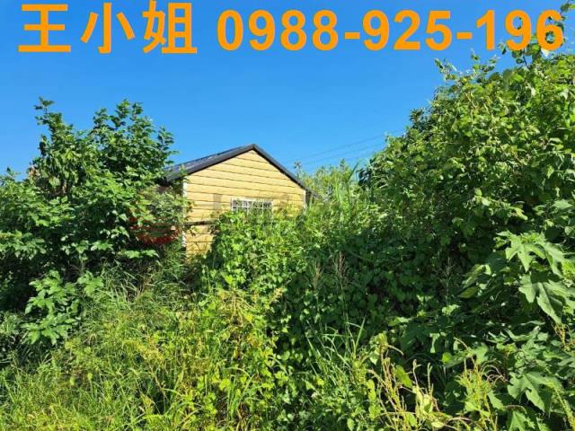 桃園蘆竹農地-9