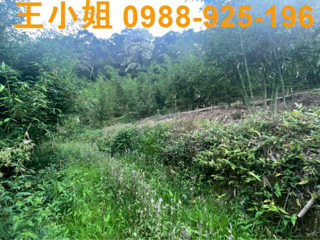 桃園大溪農地-4