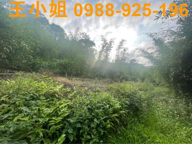 桃園大溪農地-5