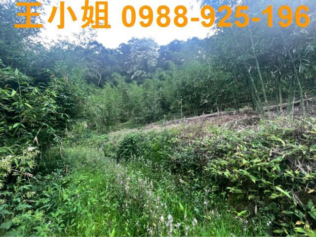 桃園大溪農地-6