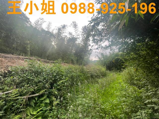 桃園大溪農地-7