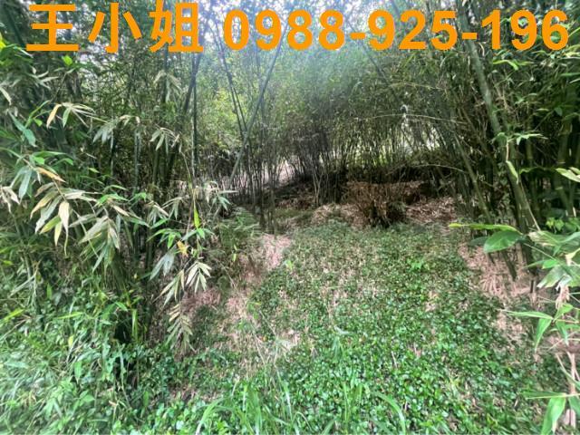桃園大溪農地-8