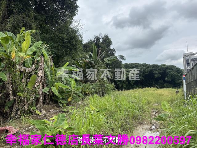台南關廟農地-11