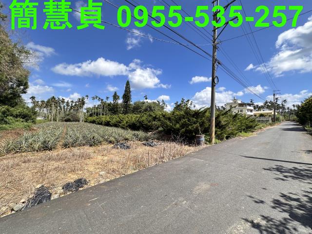 南投草屯農地-2