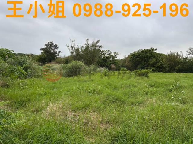 桃園大園農地-2
