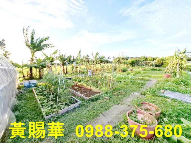 桃園新屋農地-5