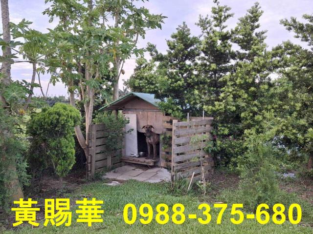 桃園新屋農地-6