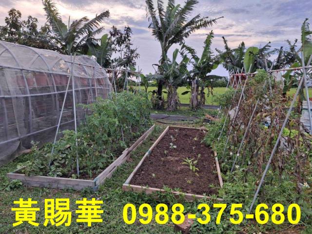 桃園新屋農地-8