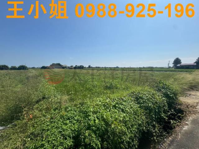 桃園觀音農地-10