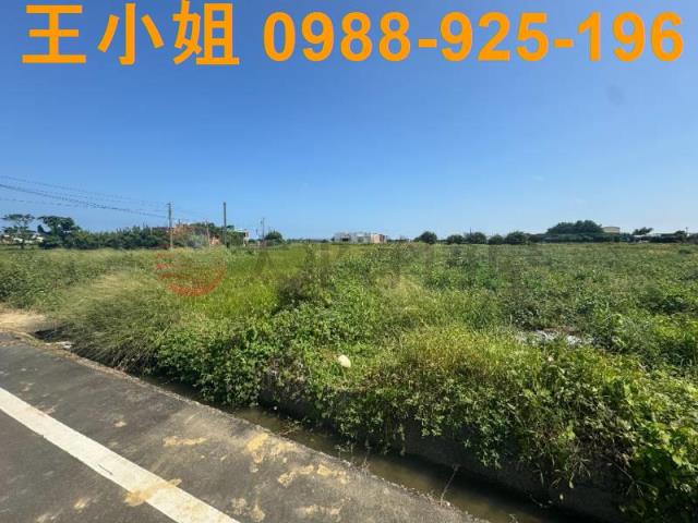 桃園觀音農地-11